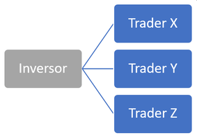 Cuenta de inversor CopyFX RoboForex
