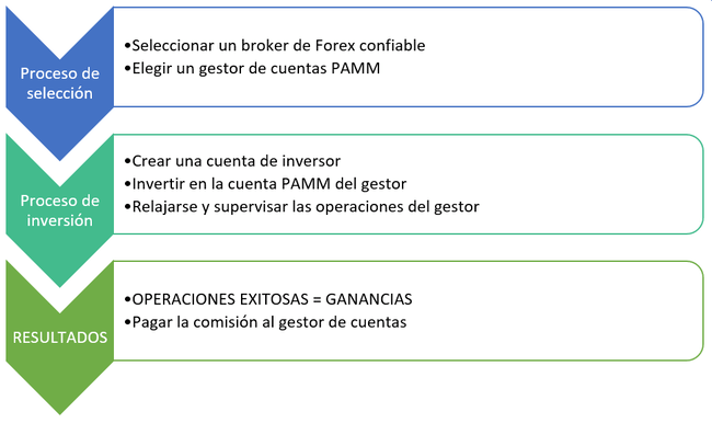 Cuenta PAMM Forex